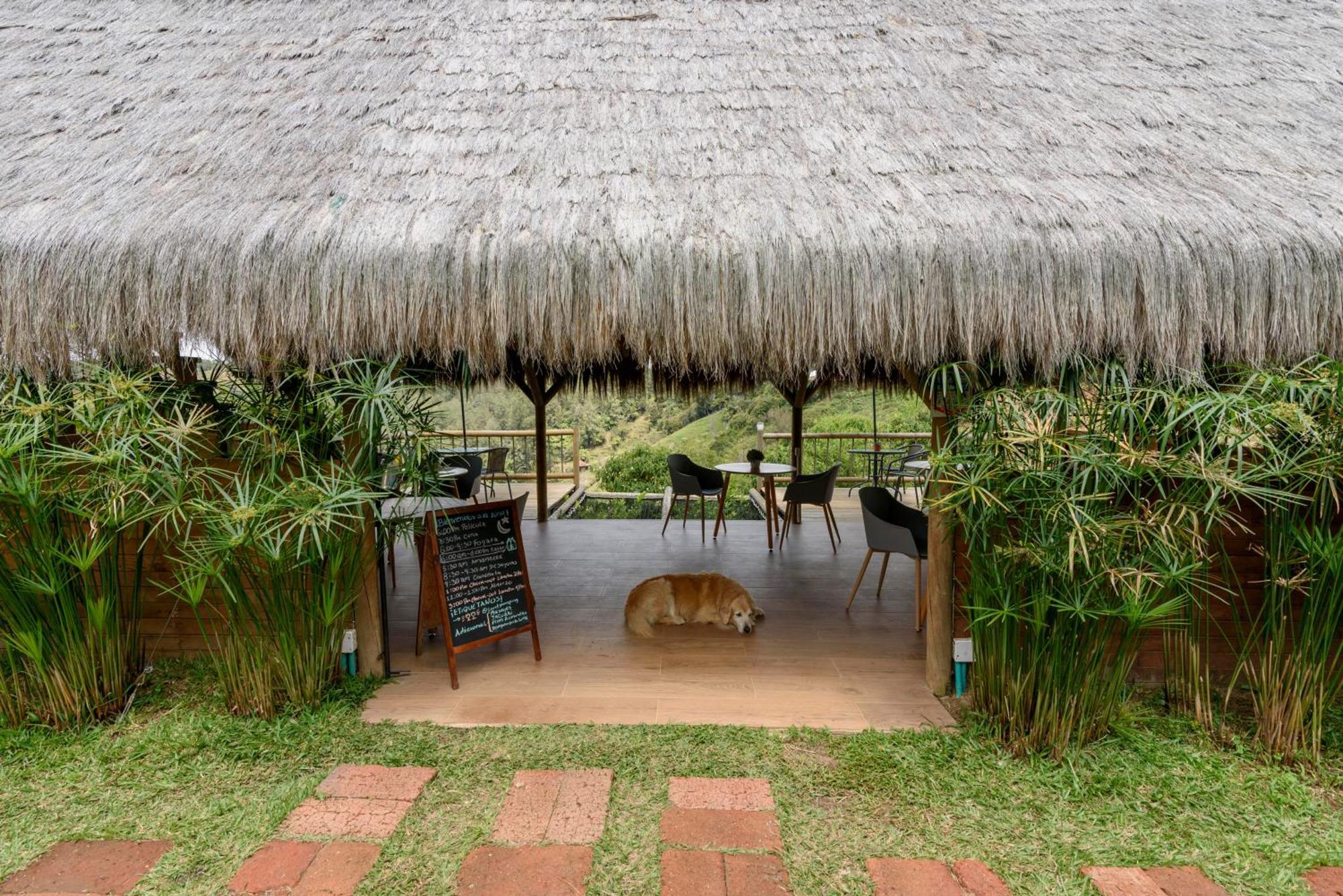 Levit Glamping - Hotel Guatape Penol (Adults Only) Exterior foto